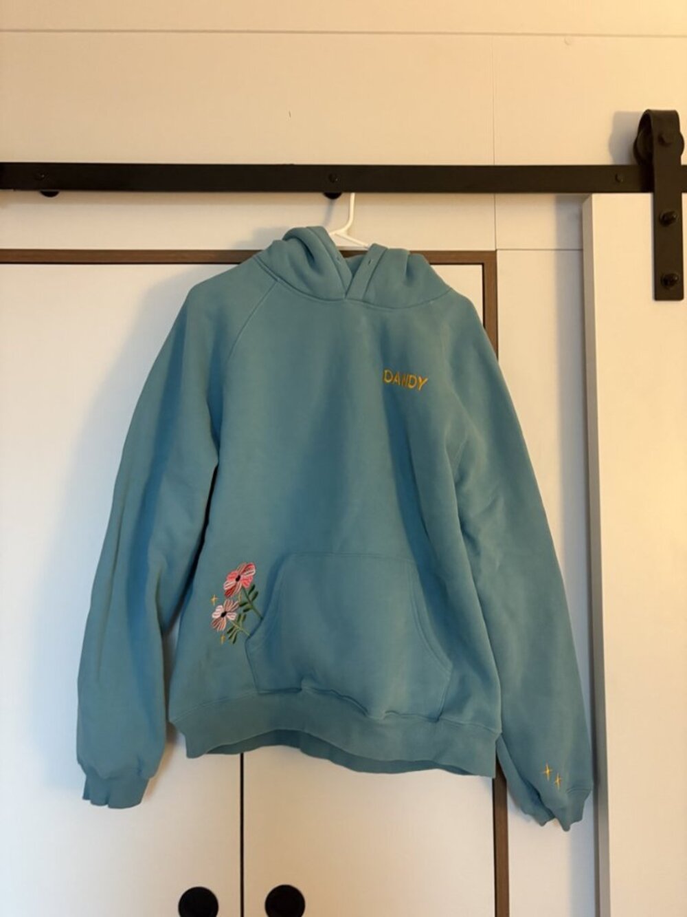 Dandy Worldwide Teal Floral Embroidered Hoodie Size L